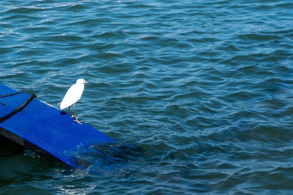 Découvrez les meilleurs conseils pour fortifier vos cheveux