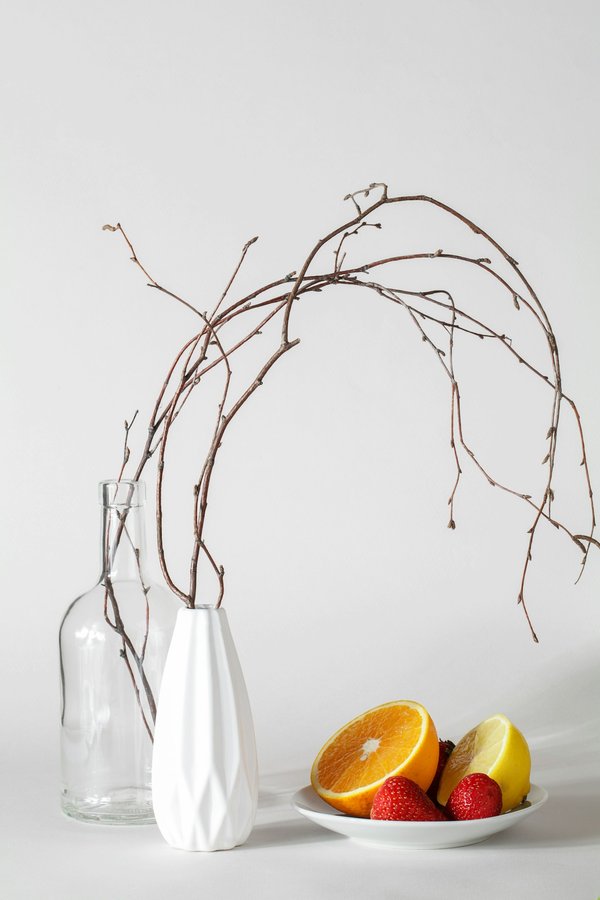 Quels aliments sont recommandés pour booster le système immunitaire pendant les mois d'hiver?